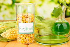 Ilfracombe biofuel availability